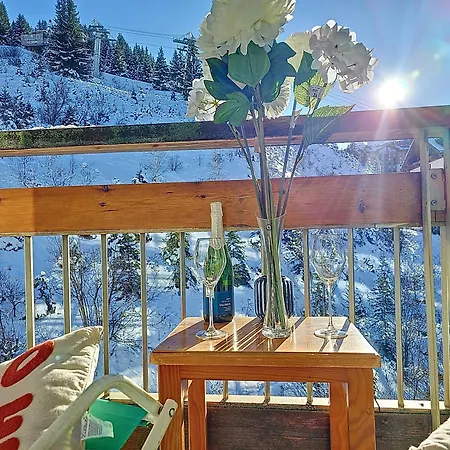 1650 - Mountain View - Snow Front 2s03 *